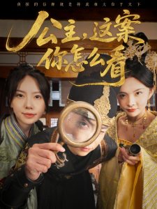 公主，這案你怎么看