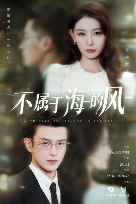 不屬于海的風