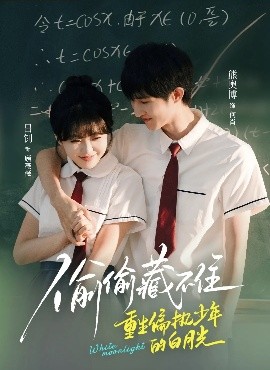 偷偷藏不住重生偏執少年的白月光